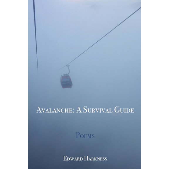 Avalanche: A Survival Guide, (Paperback)