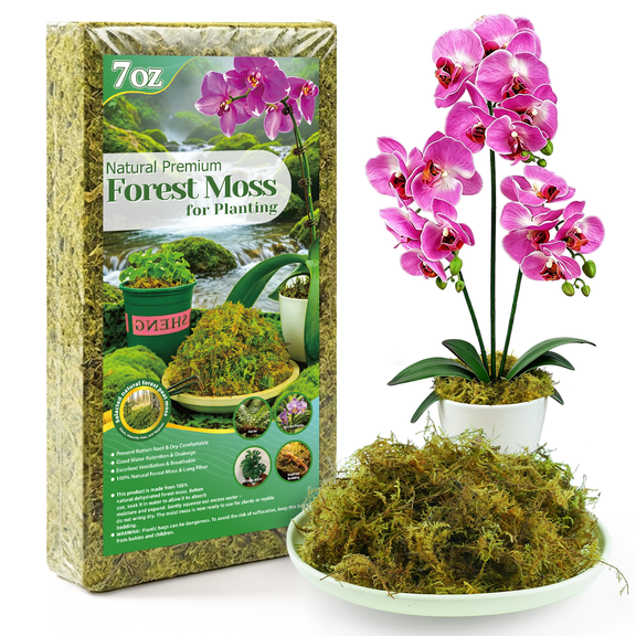 Avalution 7OZ Forest Moss for Plants Indoor, 12QT Natural Orchid Moss Potting Mix Dried, Green Forest Plant Moss for Potted Plants Carnivorous Monstera Succulents Crafts Reptile Habitat