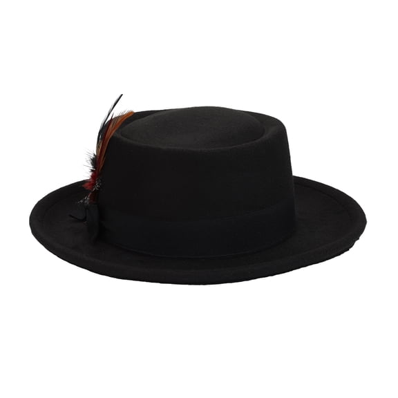 Avaner Men's Women's Vintage Felt Fedora Hat with Feather and Bow Accent – Short Brim Dress Cap for Parties and Daily Wear