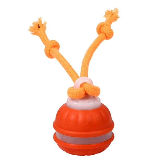 Avaner Peppy Pet Ball for Dogs, Dog Interactive Toys,Motion Activate Rolling Ball for Puppy/Small Dogs, Automatic Moving Toy with LED and Birdsong,USB Rechargeable