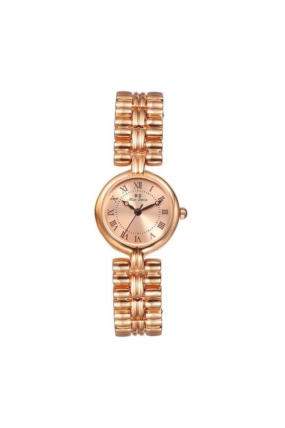 Women's Watches Vintage Roman Numeral Dial Watch for Women Luxury Small Wristwatch with Stainless Steel Band