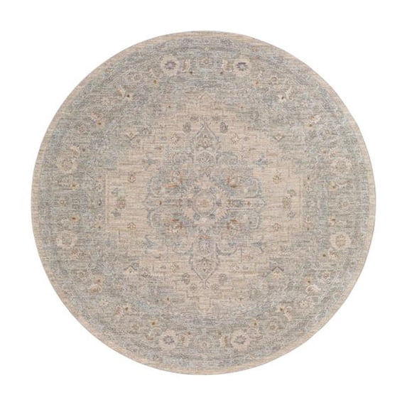 Avant Garde Machine Woven Traditional Rugs in Light Gray