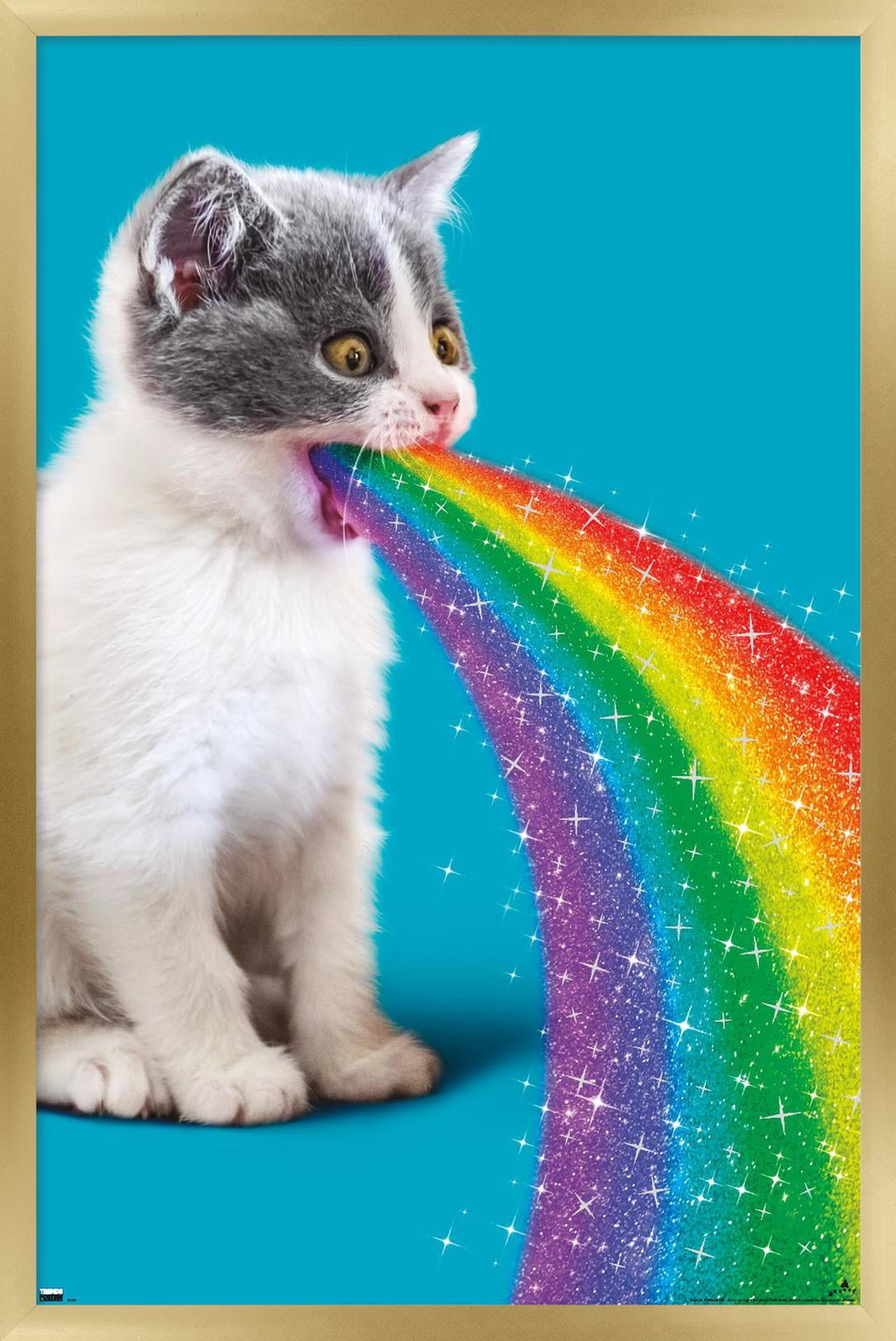 Avanti - Cat Pukes Rainbow Wall Poster, 22.375" x 34" Framed - Walmart.com