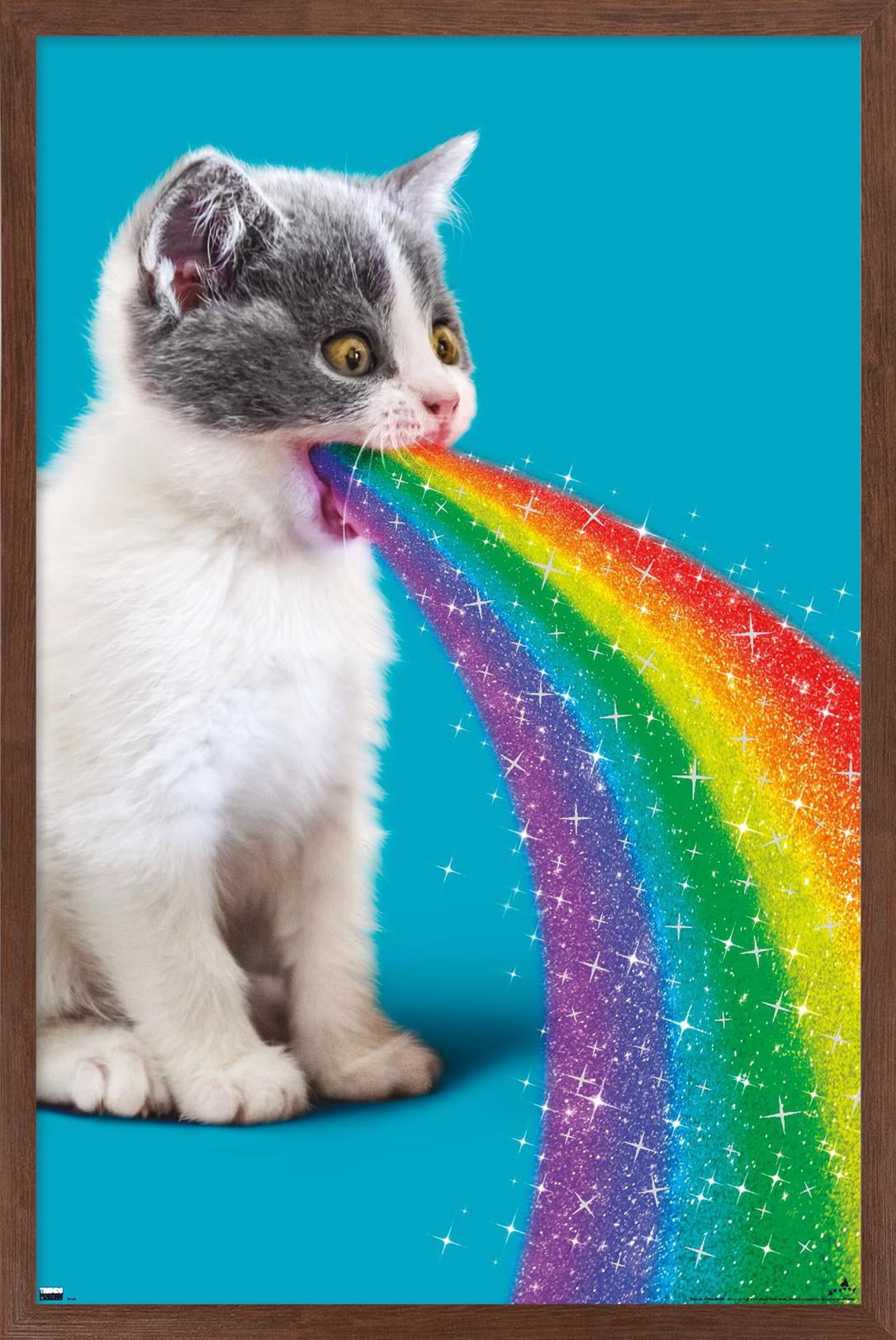 Avanti - Cat Pukes Rainbow Wall Poster, 22.375