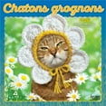 thumbnail image 1 of Avanti Chatons grognons OFFICIAL | 2026 7x14" (Hanging) Mini Wall Calendar, 1 of 9