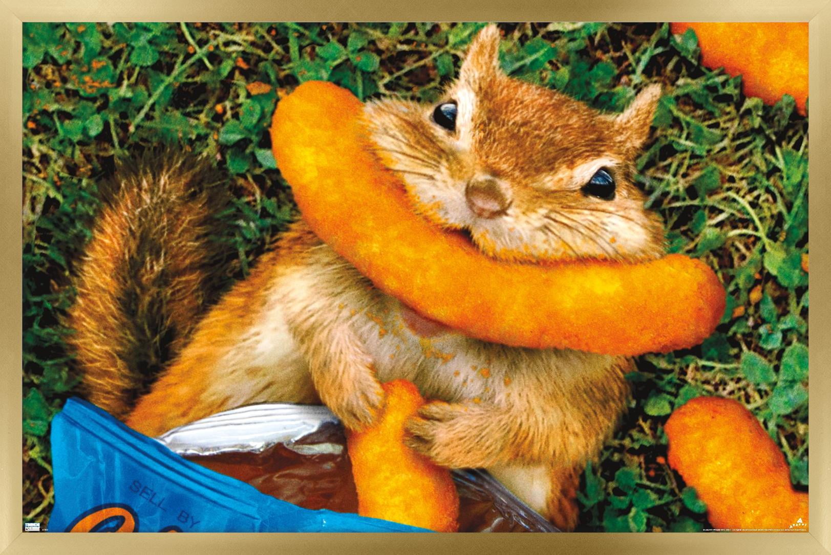 Squirrels carving my Jack O’ Lantern, image size:1623x1085