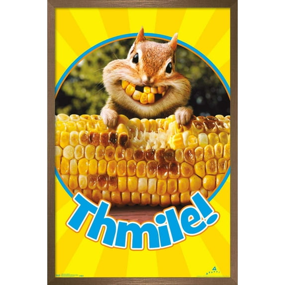 Avanti - Chipmunk Wall Poster, 14.725" x 22.375", Framed
