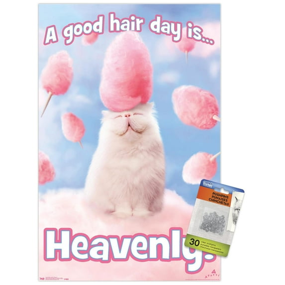 Avanti - Cotton Candy Cat Wall Poster with Push Pins, 14.725" x 22.375"