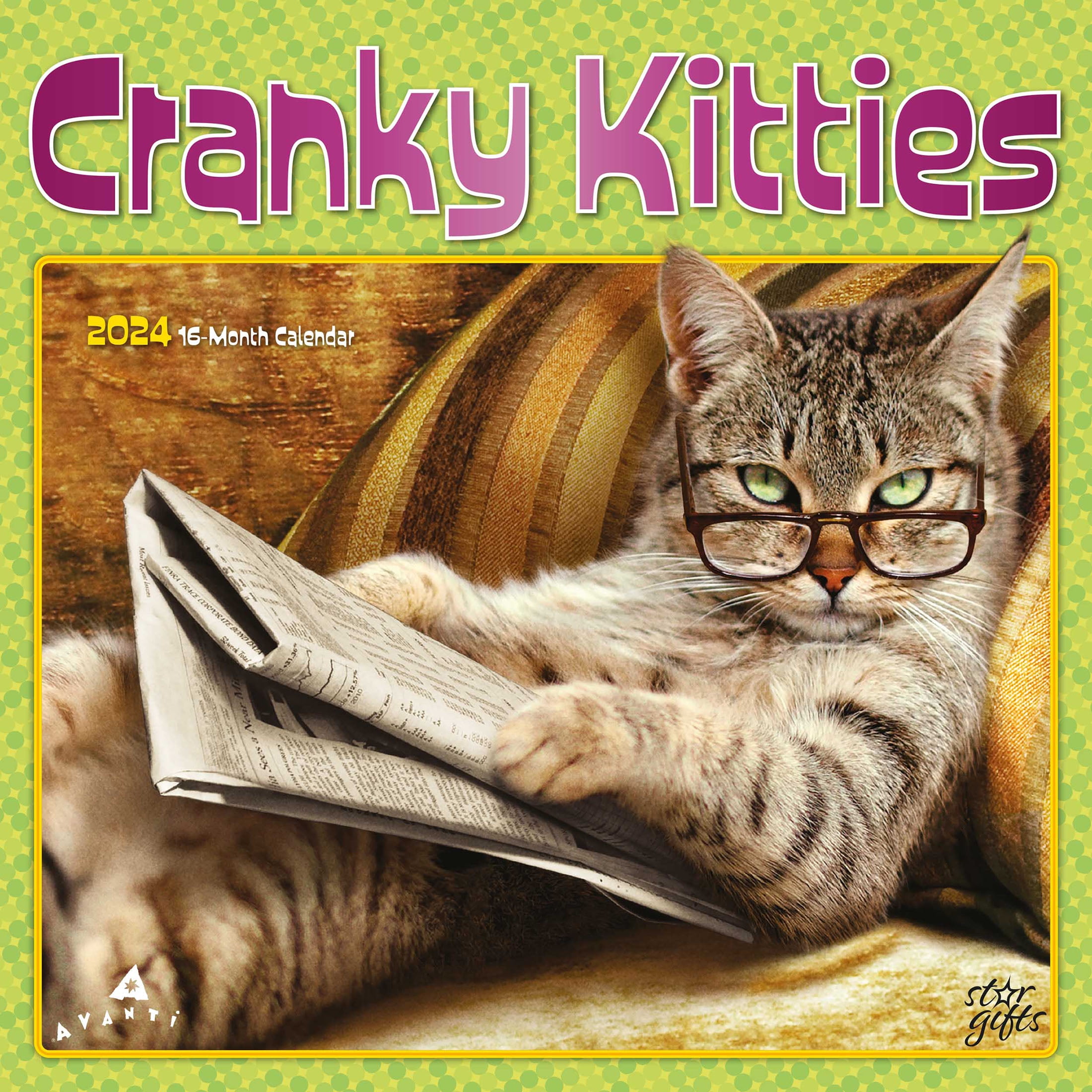 Avanti Cranky Kitties 2024 12x24" (Hanging) Wall Calendar StarGifts