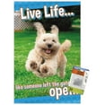 thumbnail image 1 of Avanti - Dog Joy Wall Poster with Push Pins, 14.725" x 22.375", 1 of 3