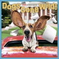 thumbnail image 1 of Avanti Dogs Gone Wild | 2024 12x24" (Hanging) Wall Calendar | BrownTrout, 1 of 8