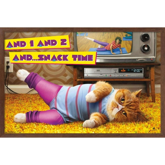 Avanti - Exercise Cat Wall Poster, 14.725" x 22.375", Framed