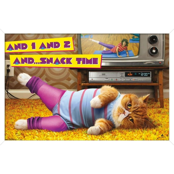 Avanti - Exercise Cat Wall Poster, 14.725" x 22.375", Framed