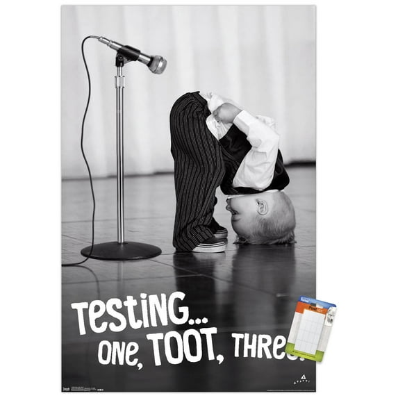 Avanti - Mic Check Wall Poster, 22.375" x 34"
