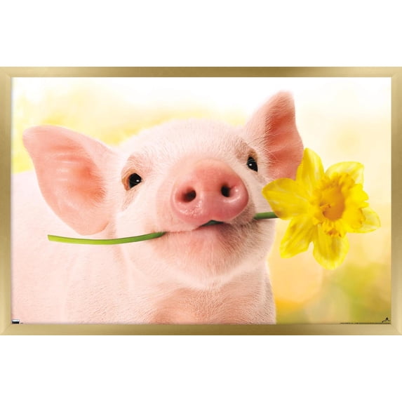 Avanti - Piglet with Daffodil Wall Poster, 14.725" x 22.375" Framed