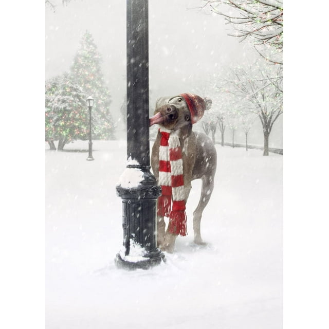 Avanti Press 32522 Christmas Cards, Dog Tongue Stuck on Pole, 20Count