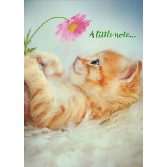 Avanti Press A Little Note: Orange Kitten Staring at Pink Flower Cute Cat Thank You Card