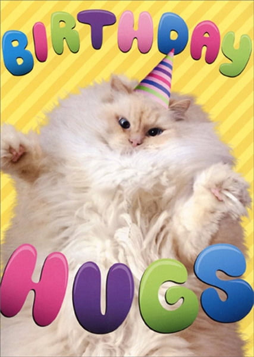 Avanti Press Birthday Hugs Cat Funny Birthday Card