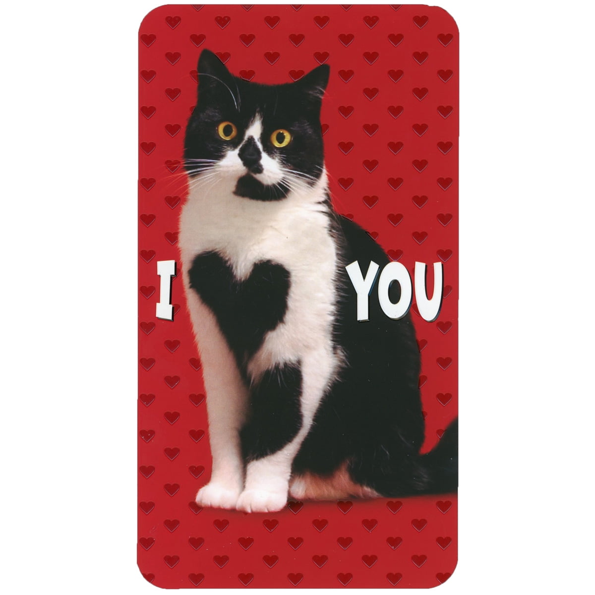 Avanti Press Black and White Cat with Heart Shape on Chest Little