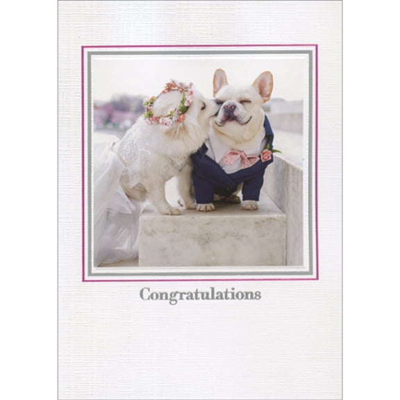 Avanti Press Bride and Groom Dogs on White Marble Steps Inside Foil Frame Congratulations Wedding Card