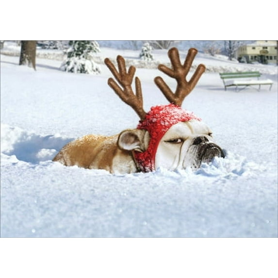 Avanti Press Bulldog Reindeer Funny / Humorous Dog Christmas Card (1 card/1 envelope)