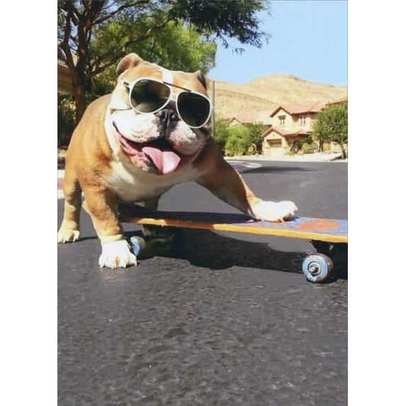 Avanti Press Bulldog Sunglasses Skateboard Funny Dog Birthday Card