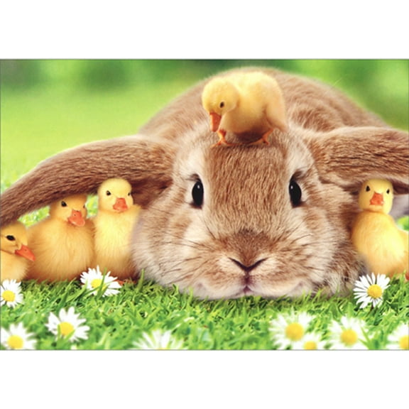 Avanti Press Bunny With Ducklings Under Ears in Field of Daisies Cute Animal Easter Card