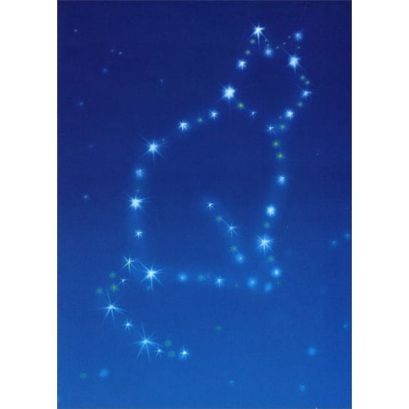Avanti Press Cat Constellation Pet Sympathy Card