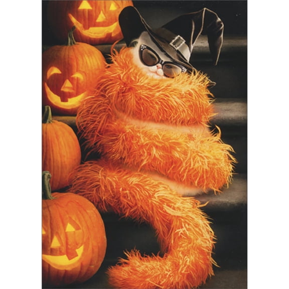 Avanti Press Cat Dressed as Witch Wrapped in Orange Feather Boa Funny Halloween Card