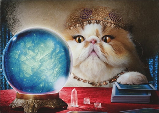 Cat cheap fortune teller