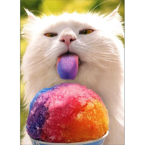 Avanti Press Cat Licking Snow Cone Funny / Humorous Belated Birthday Card
