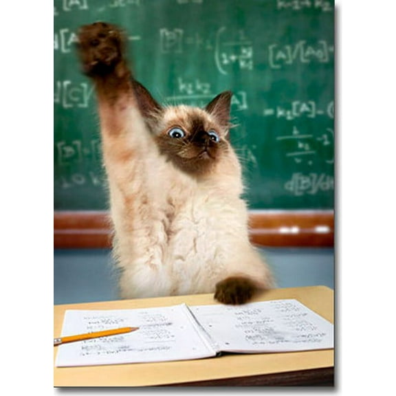 Avanti Press Cat Raising Hand Funny / Humorous Graduation Congratulations Card
