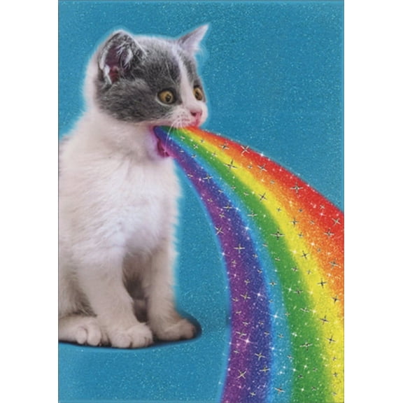 Avanti Press Cat Spits Up Rainbow Funny / Humorous Birthday Card