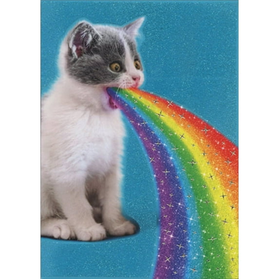 Avanti Press Cat Spits Up Rainbow Funny / Humorous Birthday Card