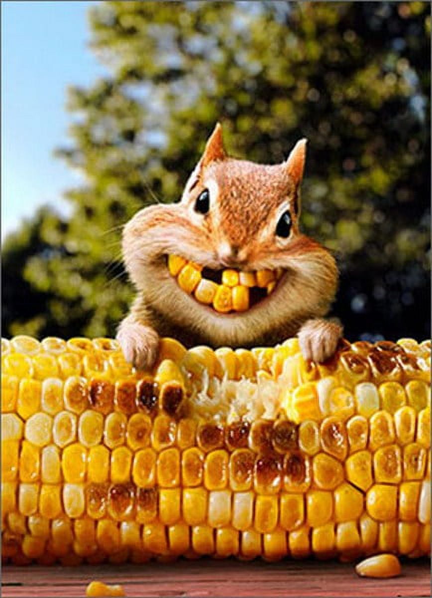 Avanti Press Chipmunk Corn Teeth Funny / Humorous Friendship Card ...
