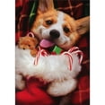 thumbnail image 1 of Avanti Press Christmas Corgi Holding Stocking Box of 10 Cute Dog Christmas Cards, 1 of 2