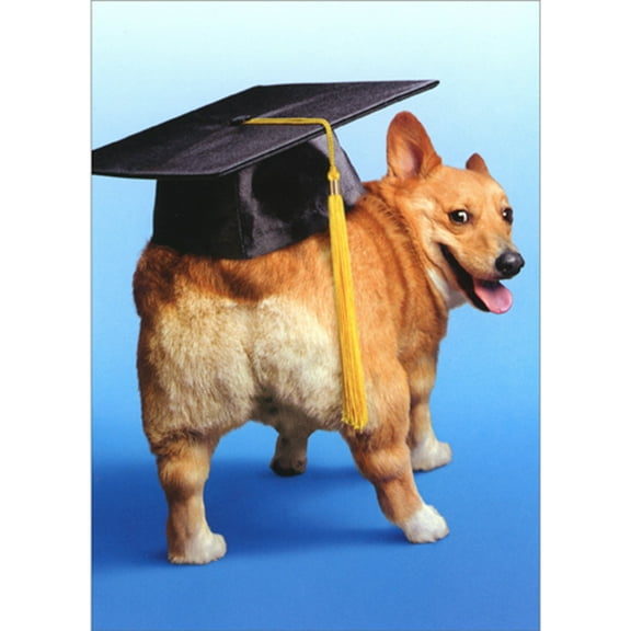 Avanti Press Corgi Dog with Grad Cap on Butt Funny/Humorous Graduation Card