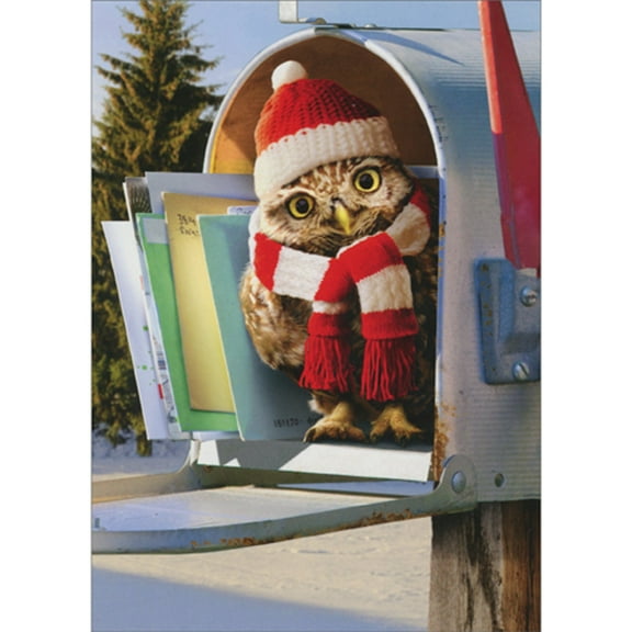 Avanti Press Cute Owl Wearing Red and White Hat and Scarf in Mailbox Cute Pack of 10 Christmas Cards