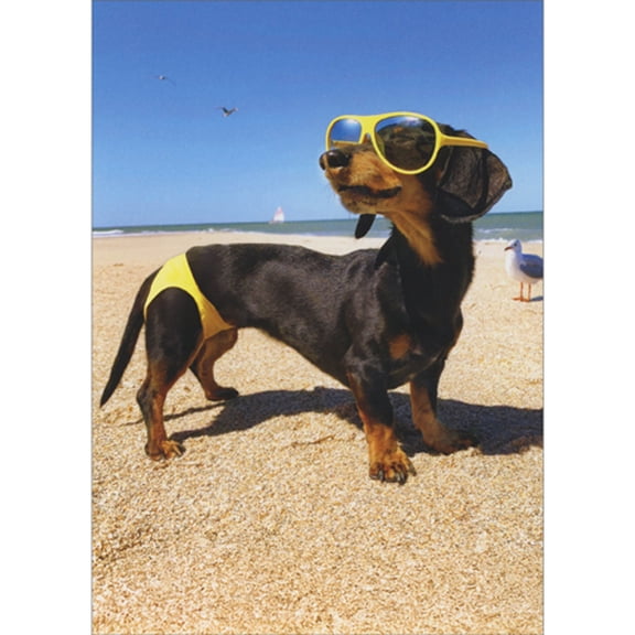 Avanti Press Dachshund Wearing Yellow Bikini and Sunglasses on Beach Funny Birthday Card