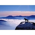 thumbnail image 1 of Avanti Press Dog On Mountain Pet Sympathy Card, 1 of 2