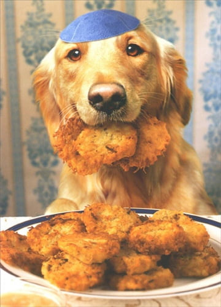 Avanti Press Dog Steals Latkes Hanukkah Card (1 card/1 envelope)