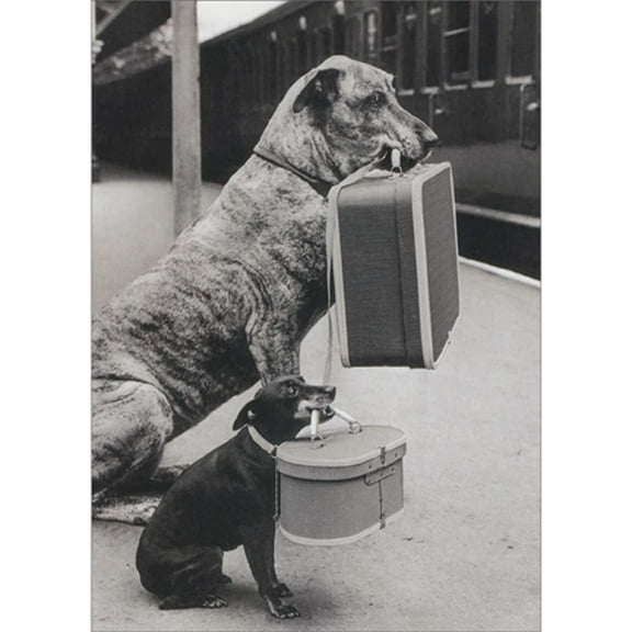 Avanti Press Dogs Carrying Suitcases at Train Stop Photo Thank You for Pet Sitting Card