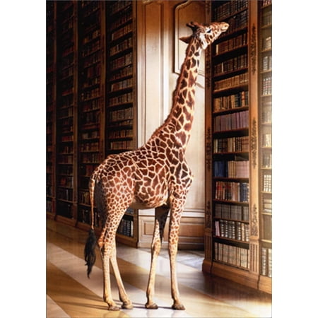 Avanti Press Giraffe At Library Funny / Humorous Graduation Card