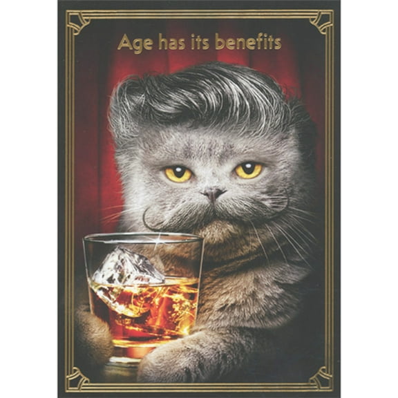Avanti Press Gray Cat with Mustache and Curling Hairdo Holding Drink Funny Birthday Card for Man