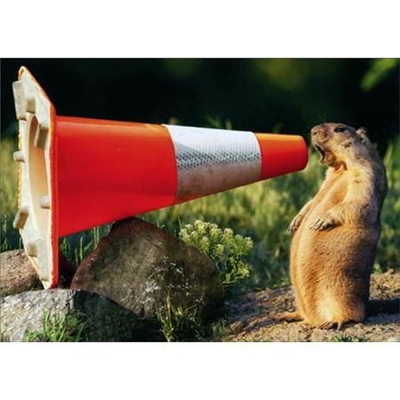 Avanti Press Groundhog Shouting Into Construction Cone Humorous : Funny Graduation Card
