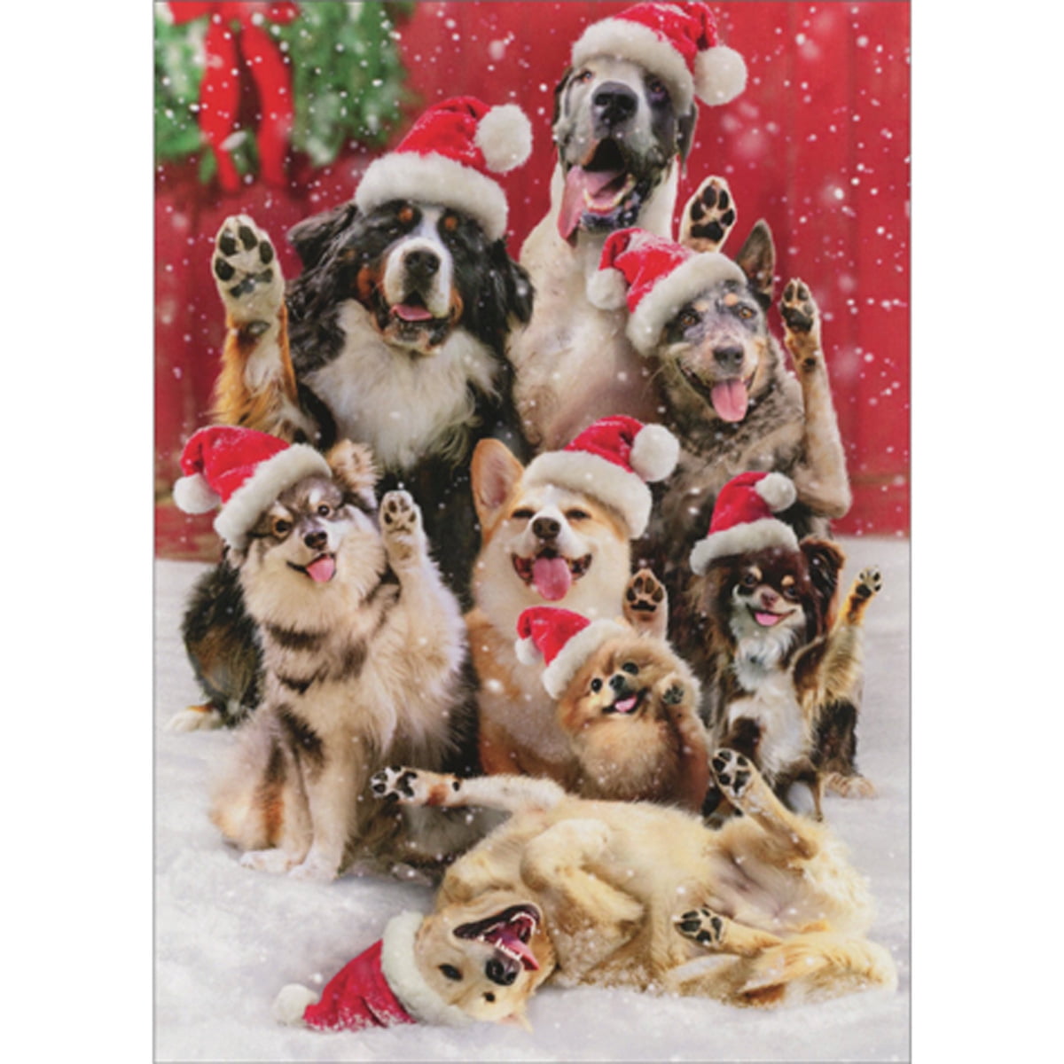 Avanti Press Group of Dogs with Raised Paws Posing in the Snow Funny / Humorous Pack of 10 Christmas Cards