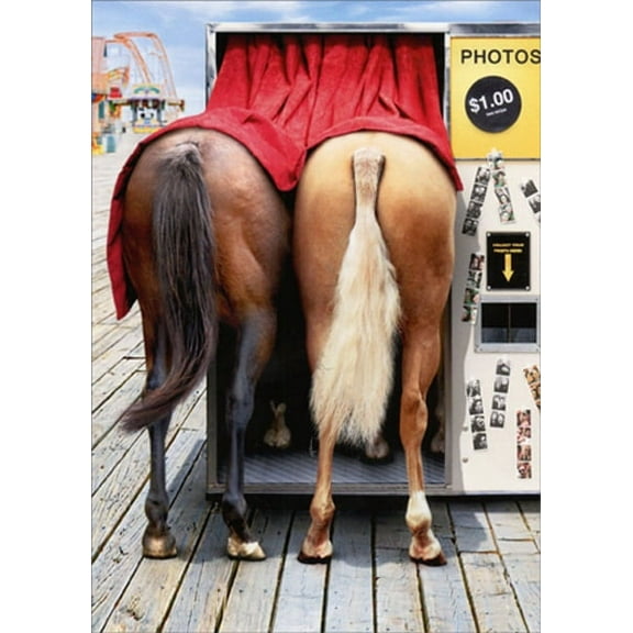 Avanti Press Horses In Photo Booth Funny Birthday Card