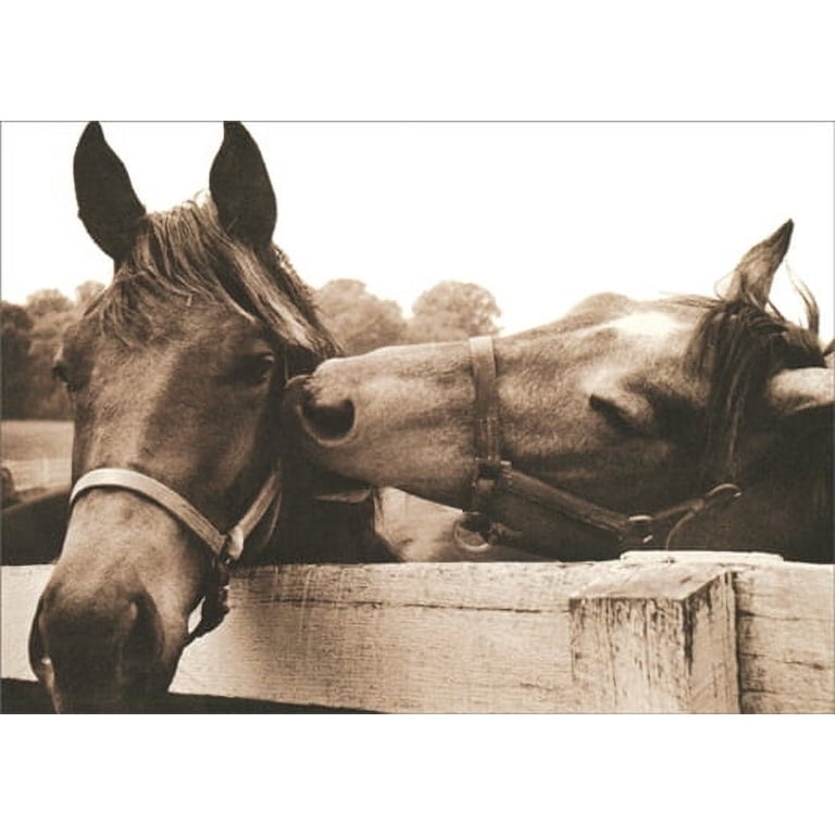 Avanti Encouragement Greeting Card - 'Together Anything Is Possible', America Collection