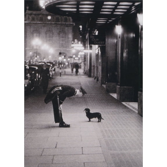 Avanti Press Hotel Dog Funny / Humorous Pet Sitting Thank You Card