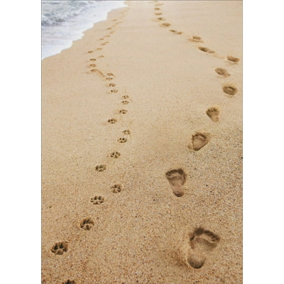 Avanti Press Human And Dog Footprints Pet Sympathy Card